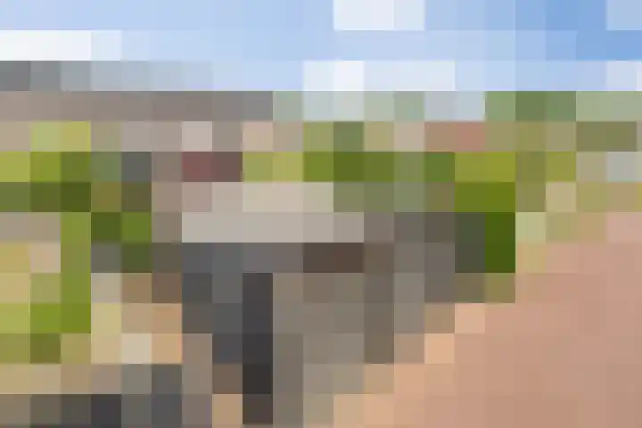 Zonnestraal 5 Boxtel thumbnail 55