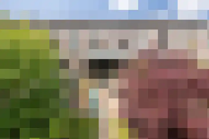 Zonnestraal 5 Boxtel thumbnail 56