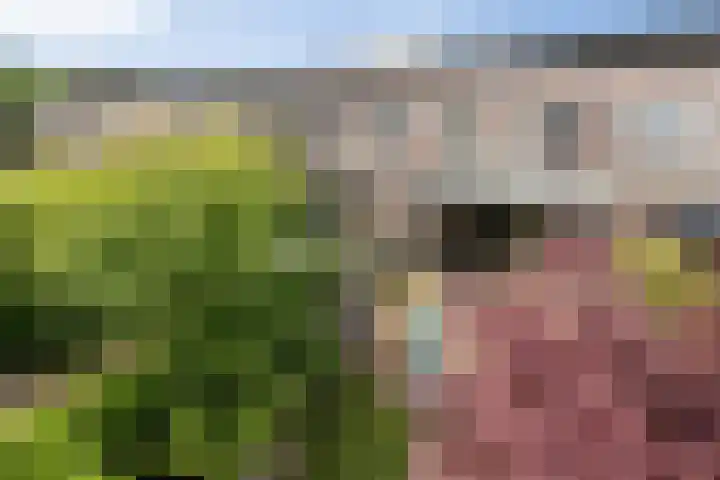 Zonnestraal 5 Boxtel thumbnail 57