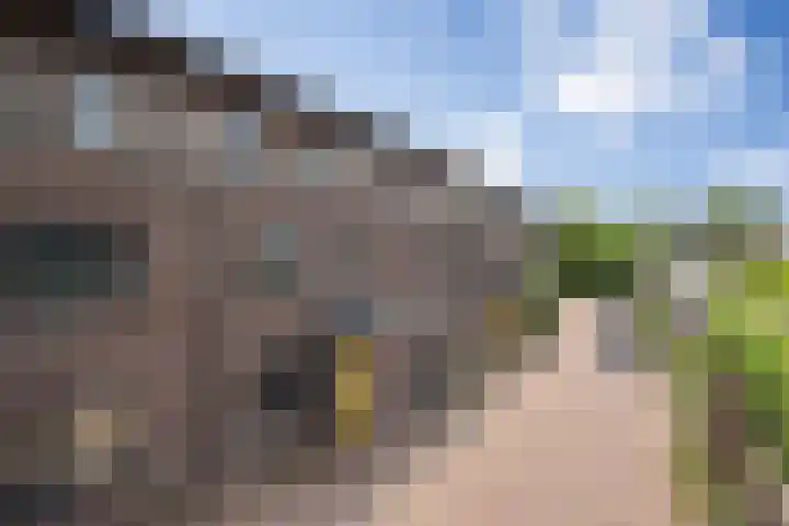 Zonnestraal 5 Boxtel thumbnail 58