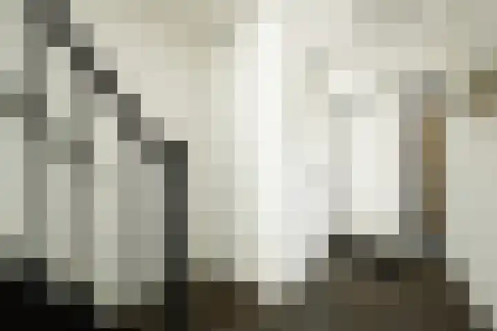 Zonnestraal 5 Boxtel thumbnail 6