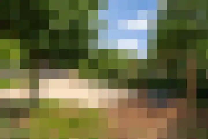 Zonnestraal 5 Boxtel thumbnail 60