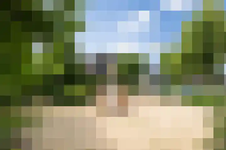 Zonnestraal 5 Boxtel thumbnail 61