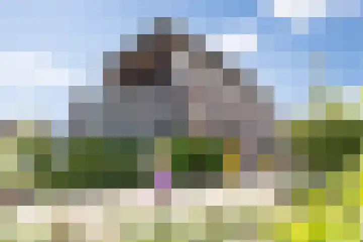 Zonnestraal 5 Boxtel thumbnail 63