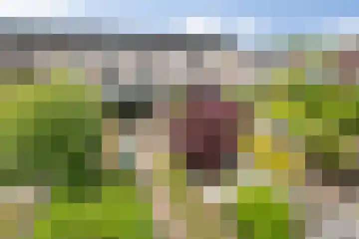 Zonnestraal 5 Boxtel thumbnail 68