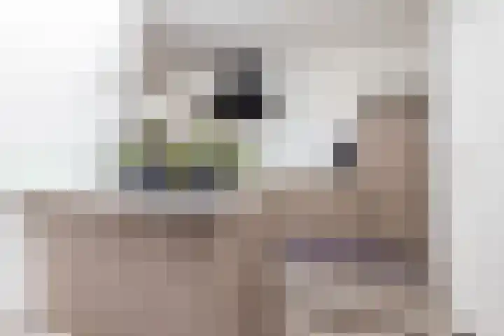 Zonnestraat 6 Brunssum thumbnail 15