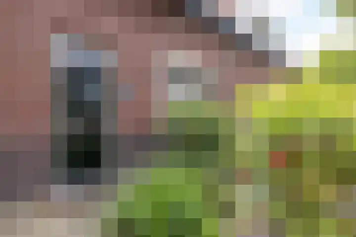 Zonnestraat 6 Brunssum thumbnail 4