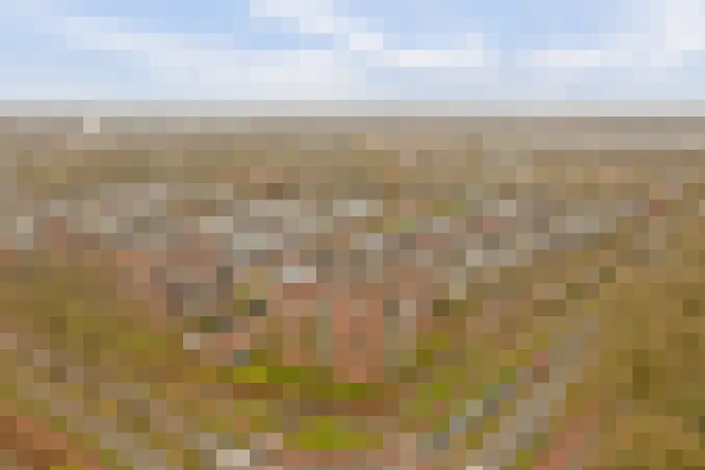 Zonneveld 108 Venlo thumbnail 26