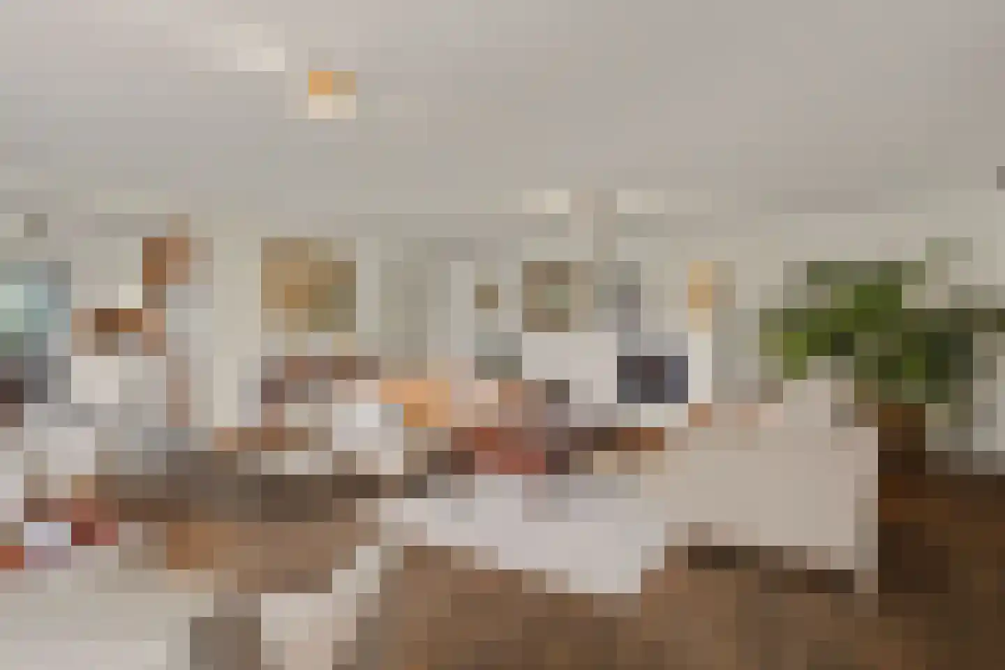 Zonneveld 108 Venlo thumbnail 8