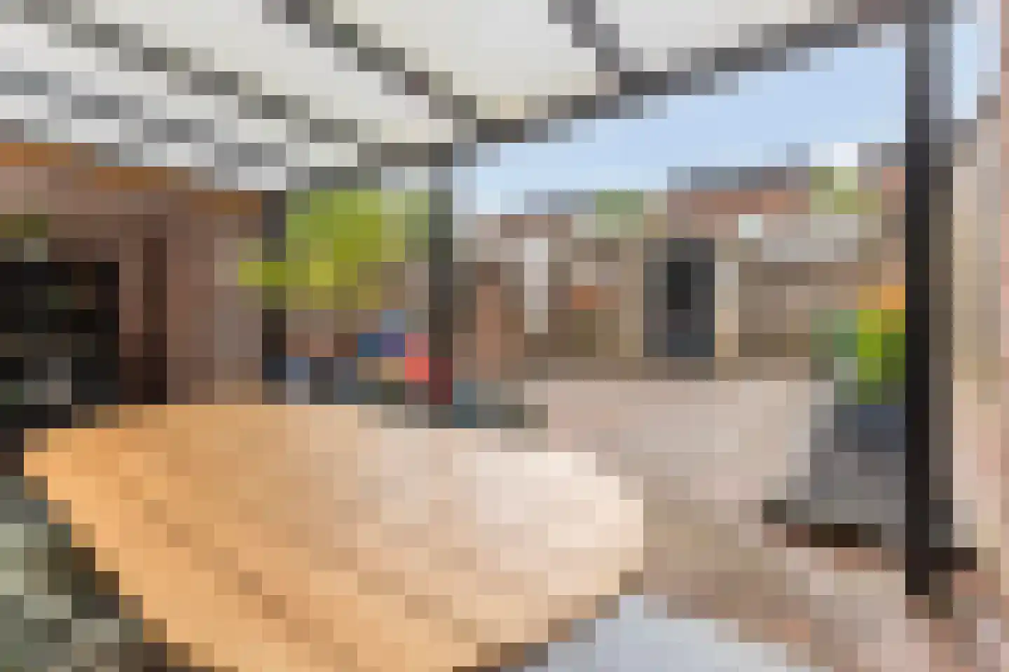 Zonneveld 15 Venlo thumbnail 11