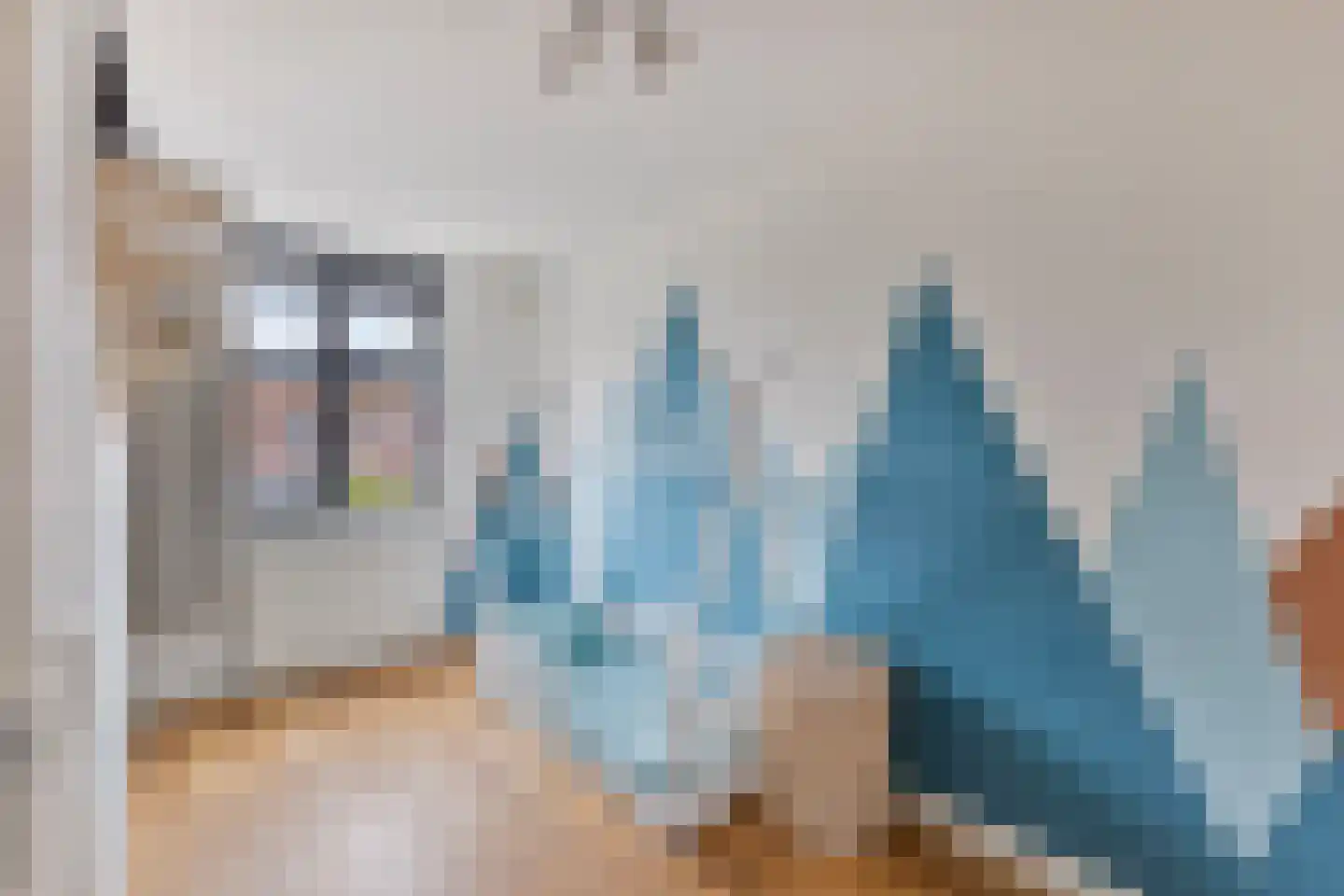 Zonneveld 15 Venlo thumbnail 19