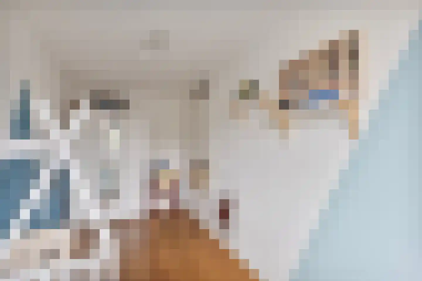 Zonneveld 15 Venlo thumbnail 21
