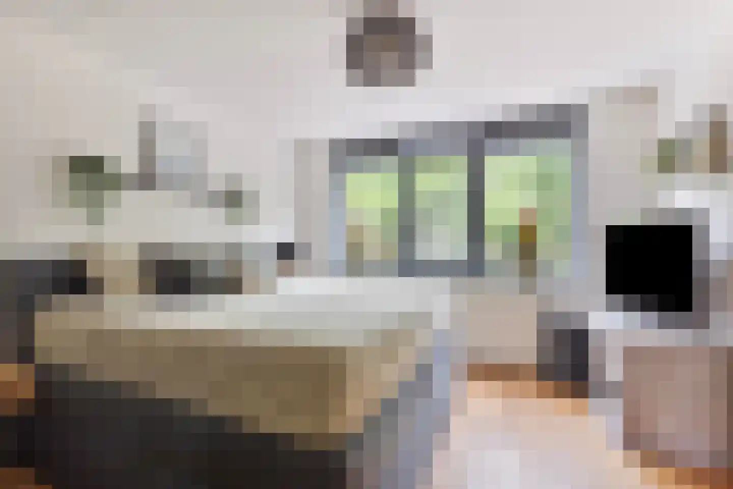 Zonneveld 15 Venlo thumbnail 23