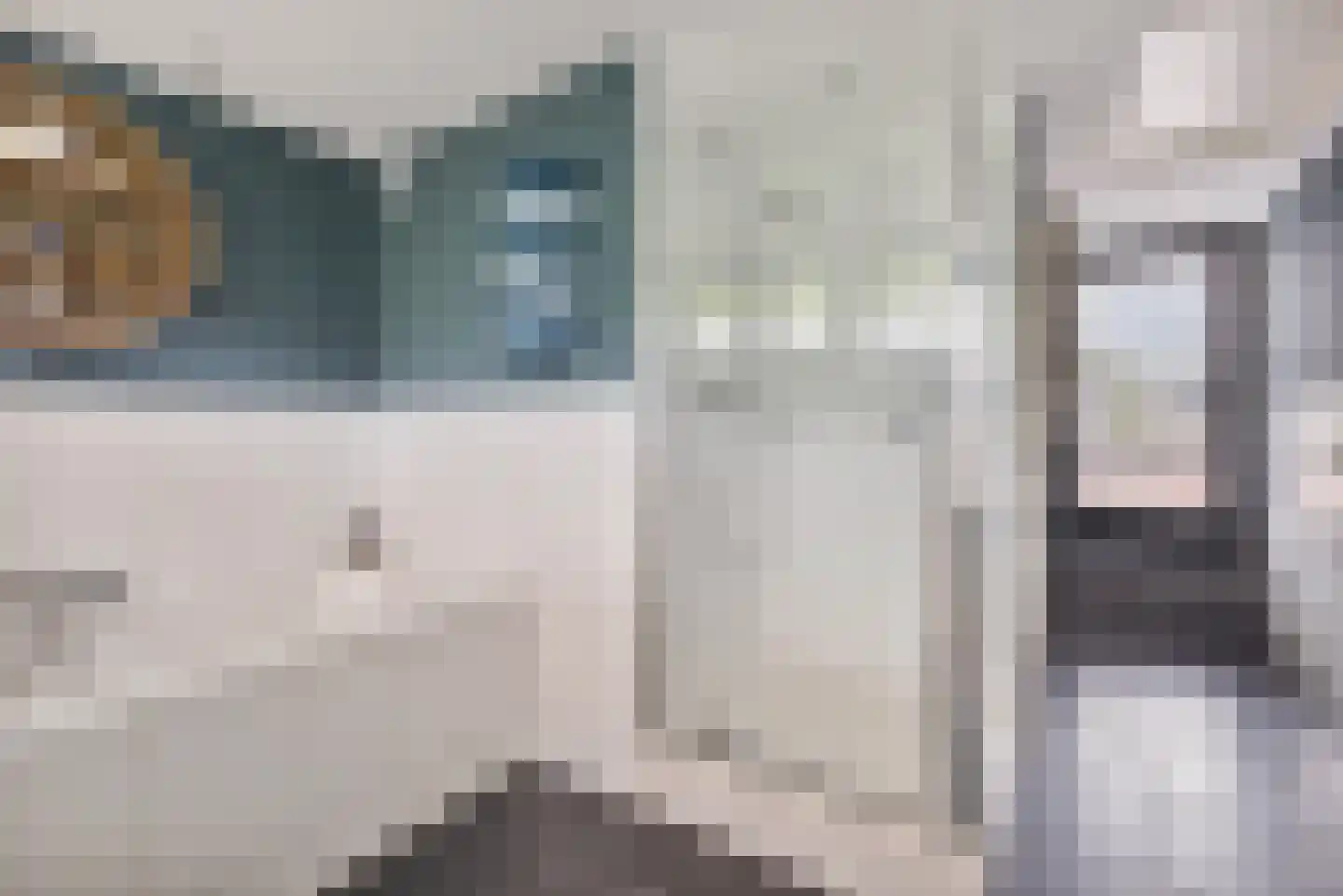 Zonneveld 15 Venlo thumbnail 28