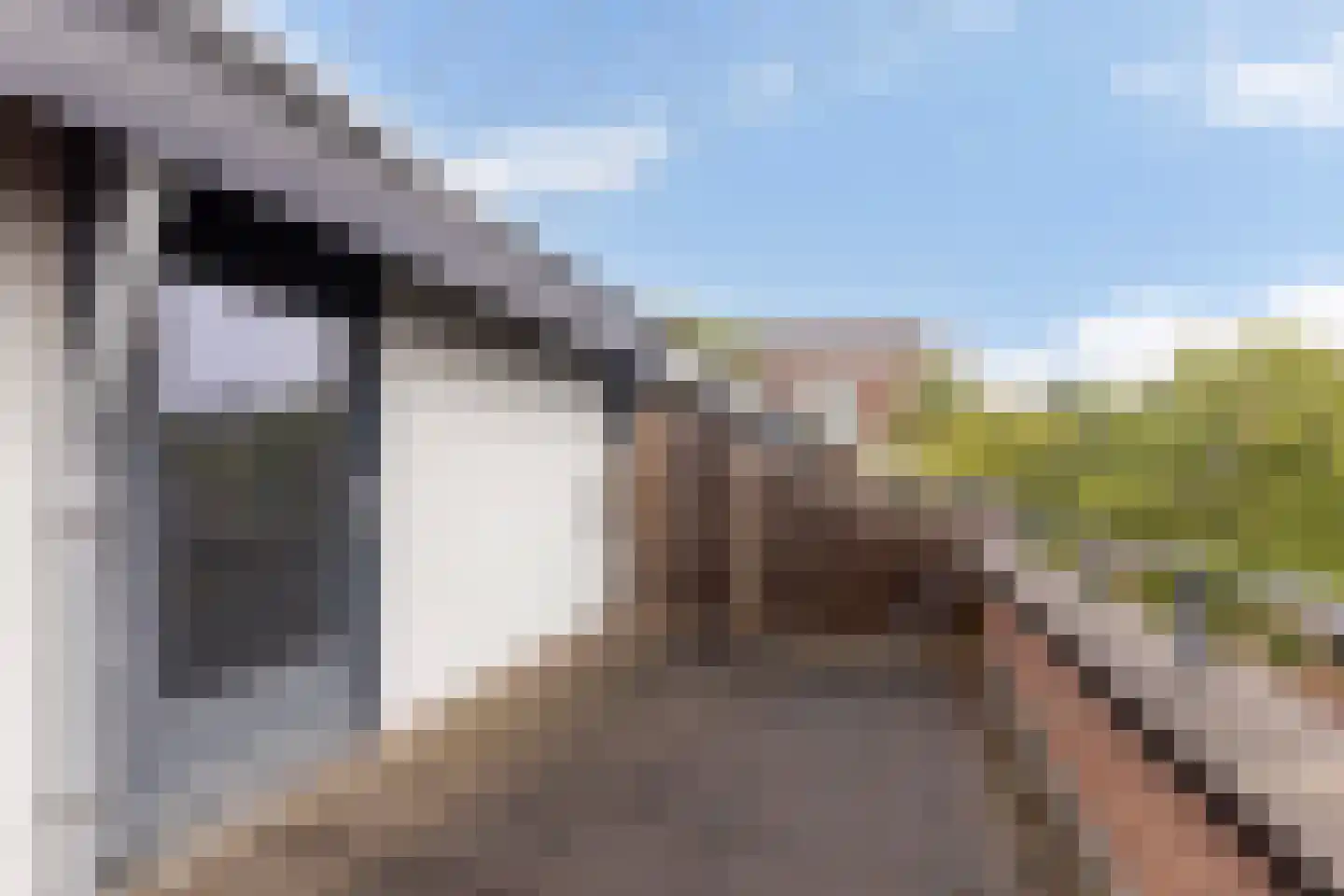 Zonneveld 15 Venlo thumbnail 30