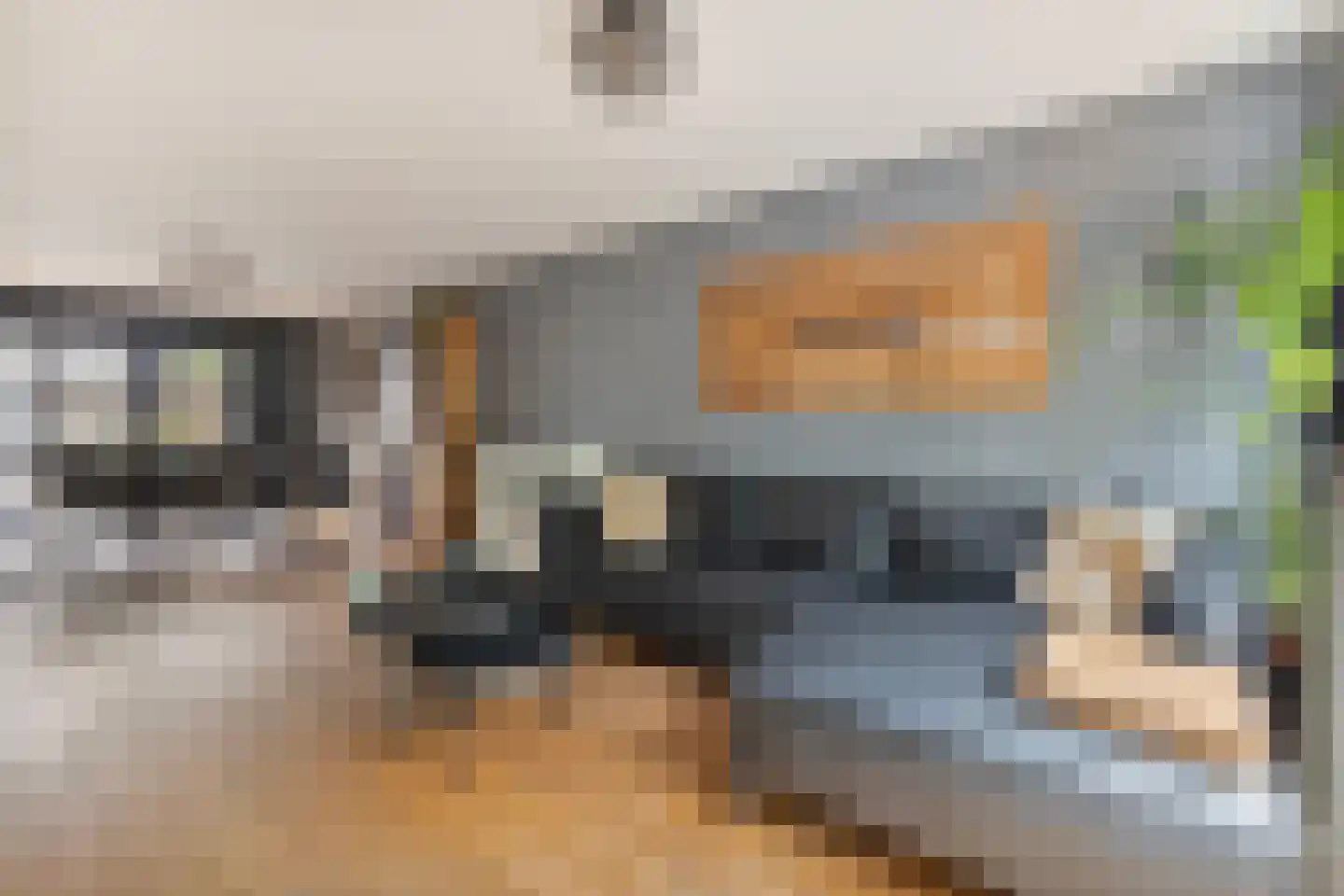 Zonneveld 15 Venlo thumbnail 4
