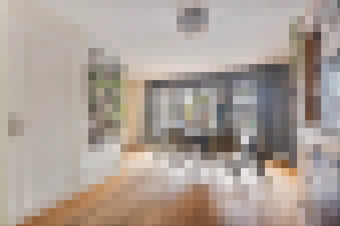 Zonneveld 15 Venlo thumbnail 5