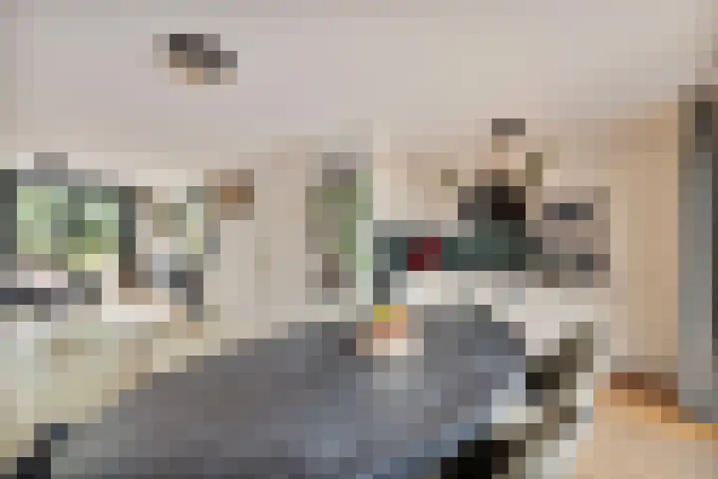 Zonneveld 15 Venlo thumbnail 6