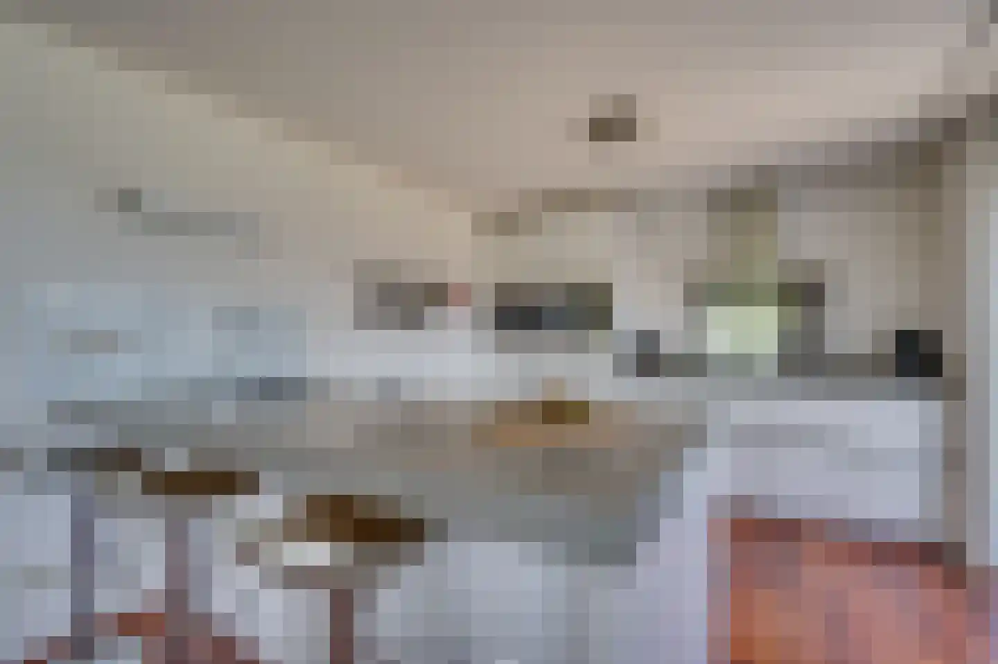 Zonneveld 22 Venlo thumbnail 18
