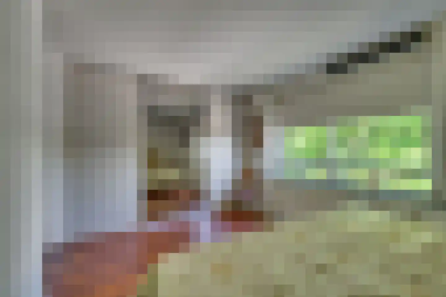 Zonneveld 22 Venlo thumbnail 28