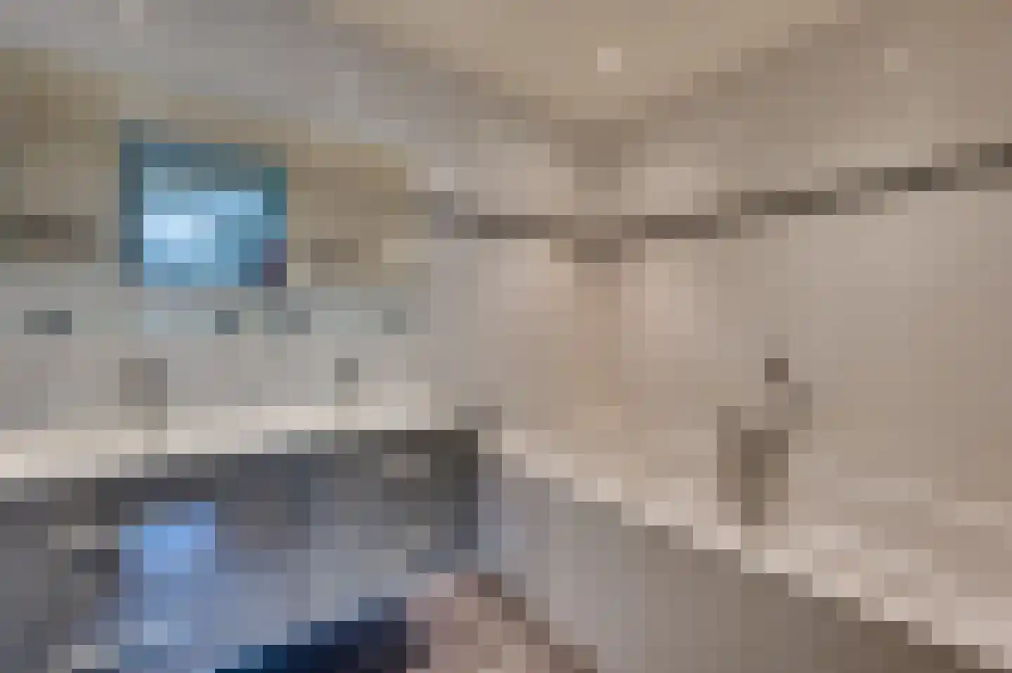 Zonneveld 22 Venlo thumbnail 29