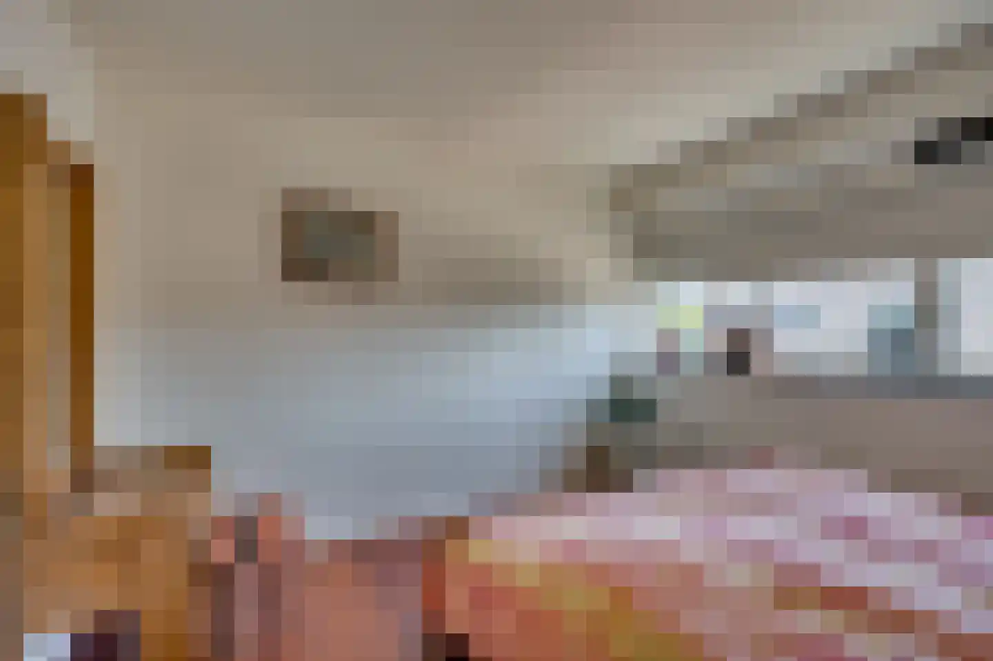 Zonneveld 22 Venlo thumbnail 36