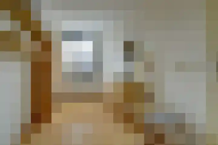 Zonneveld 29 Venlo thumbnail 12