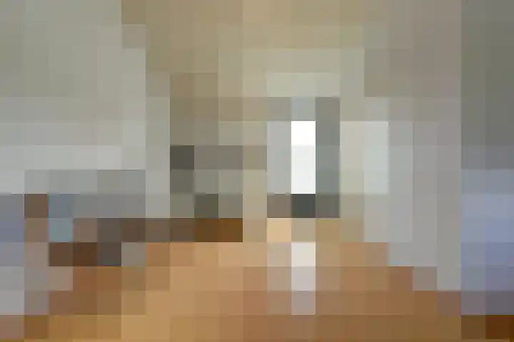Zonneveld 29 Venlo thumbnail 17
