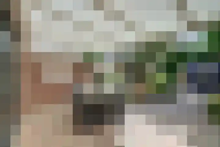 Zonneveld 29 Venlo thumbnail 20