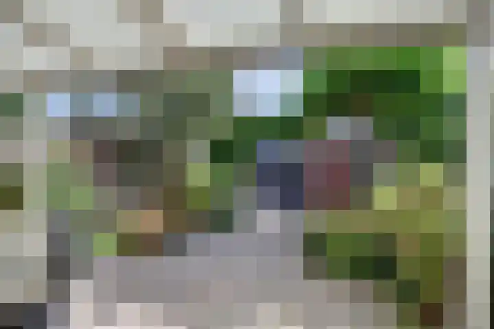 Zonneveld 29 Venlo thumbnail 21