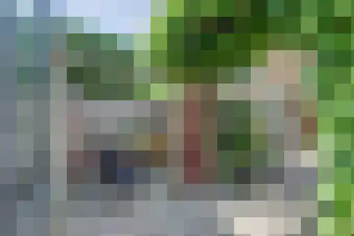 Zonneveld 29 Venlo thumbnail 23