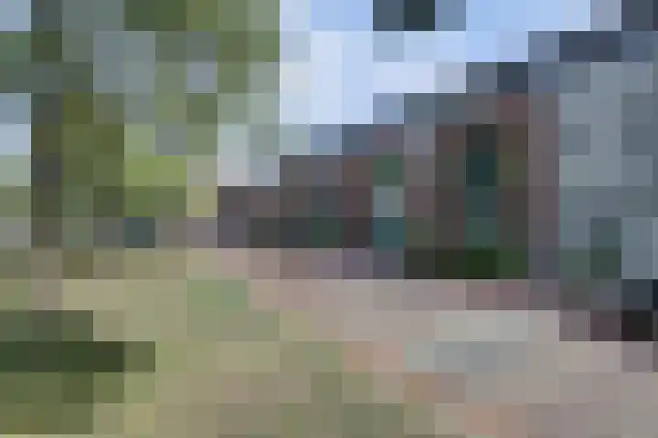 Zonneveld 29 Venlo thumbnail 26