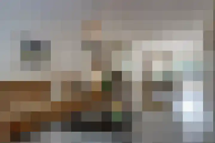 Zonneveld 29 Venlo thumbnail 4