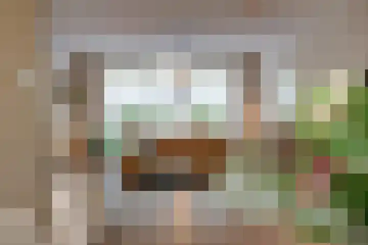 Zonneveld 29 Venlo thumbnail 6