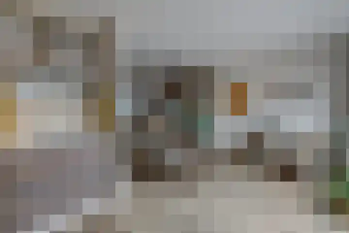 Zonneveld 29 Venlo thumbnail 7