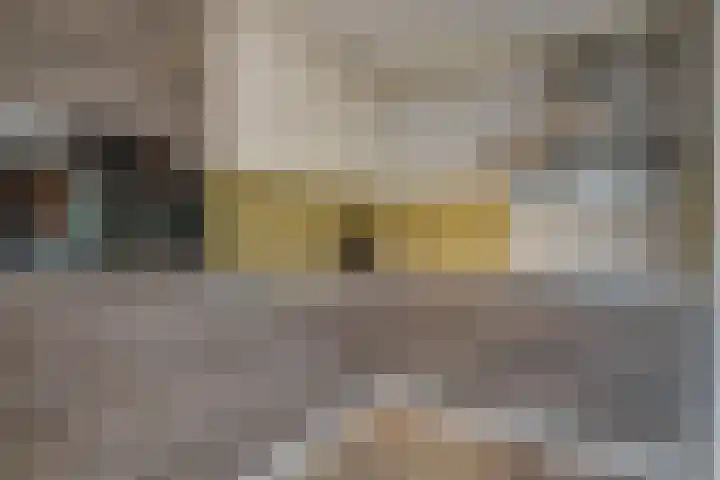 Zonneveld 29 Venlo thumbnail 8