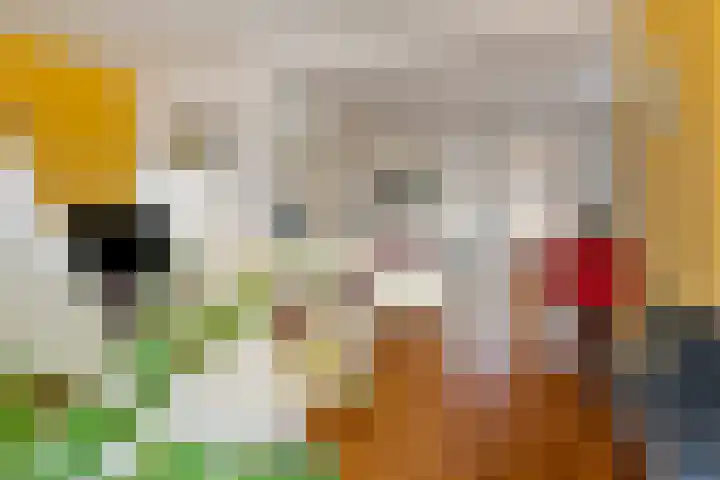 Zonneweg 7 Ilpendam thumbnail 13