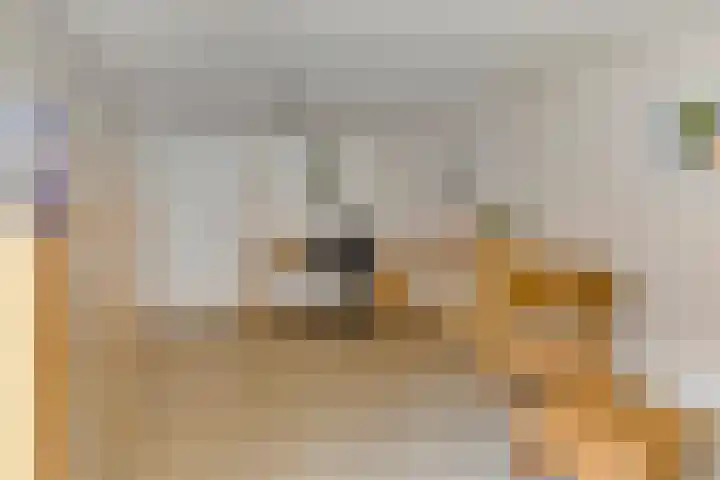 Zonneweg 7 Ilpendam thumbnail 19