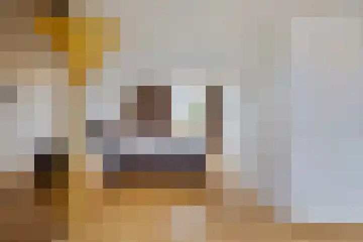 Zonneweg 7 Ilpendam thumbnail 22