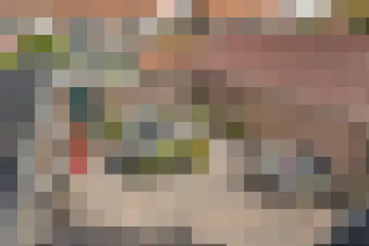 Zonneweg 7 Ilpendam thumbnail 32