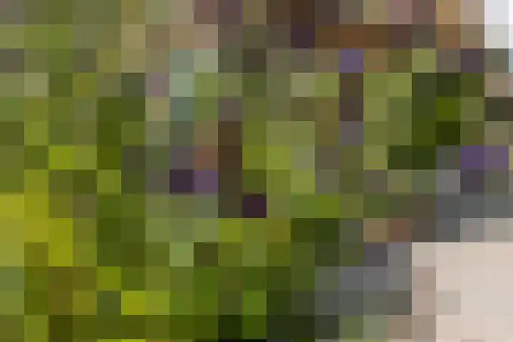 Zonneweg 7 Ilpendam thumbnail 34