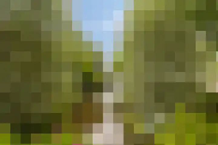 Zonneweg 7 Ilpendam thumbnail 35