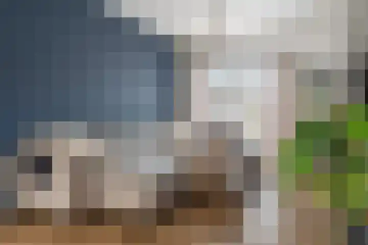 Zonneweg 8 Emmen thumbnail 16