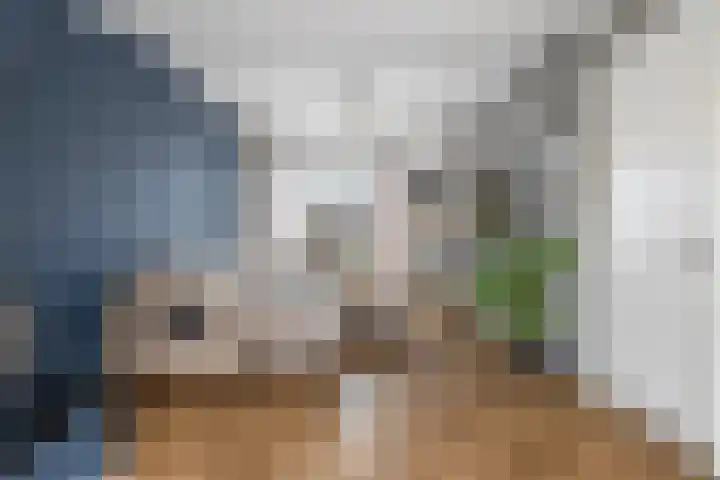 Zonneweg 8 Emmen thumbnail 20