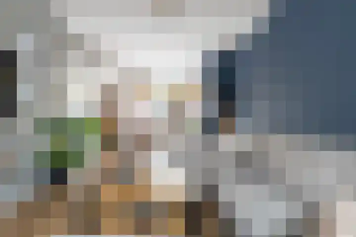 Zonneweg 8 Emmen thumbnail 22