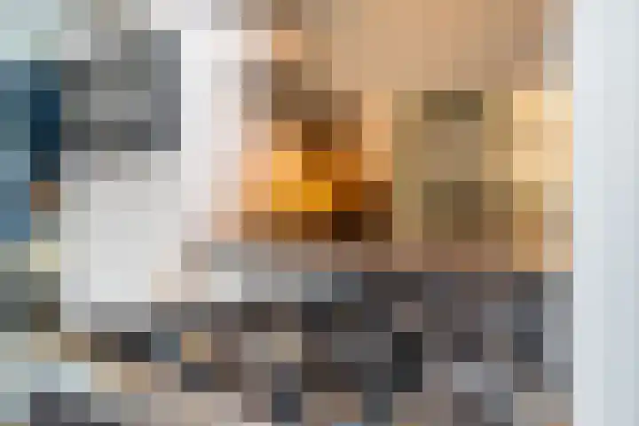 Zonneweg 8 Emmen thumbnail 27