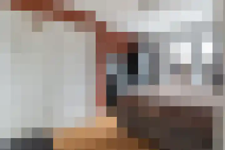 Zonneweg 8 Emmen thumbnail 4