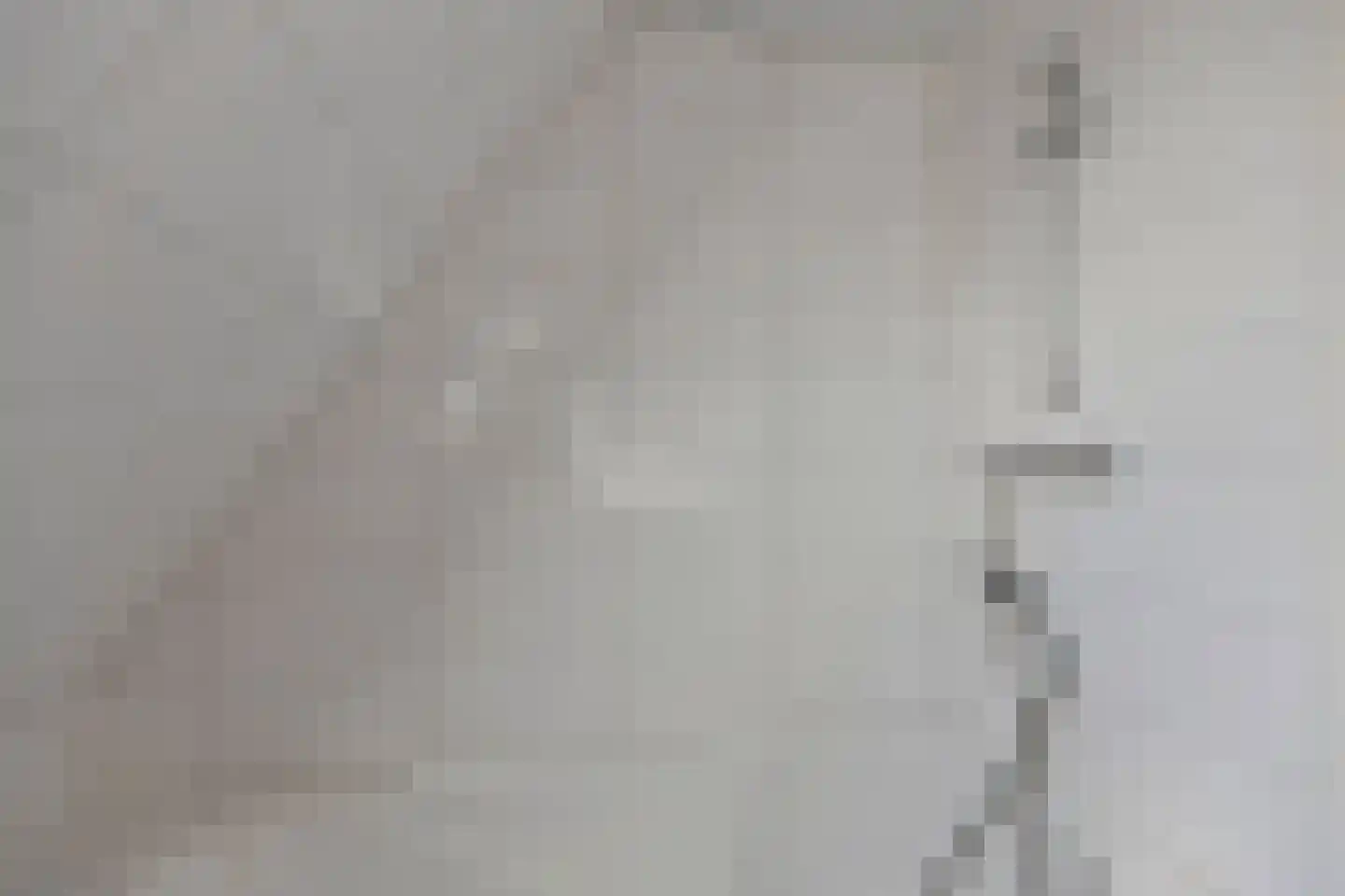 Zonneweg 8 Ilpendam thumbnail 50