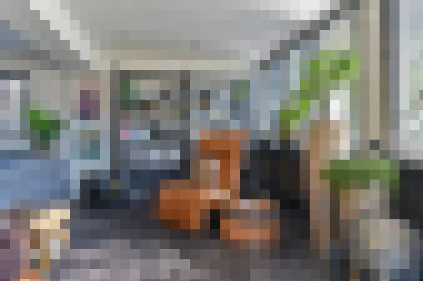 Zonneweg 9 Emmen thumbnail 16