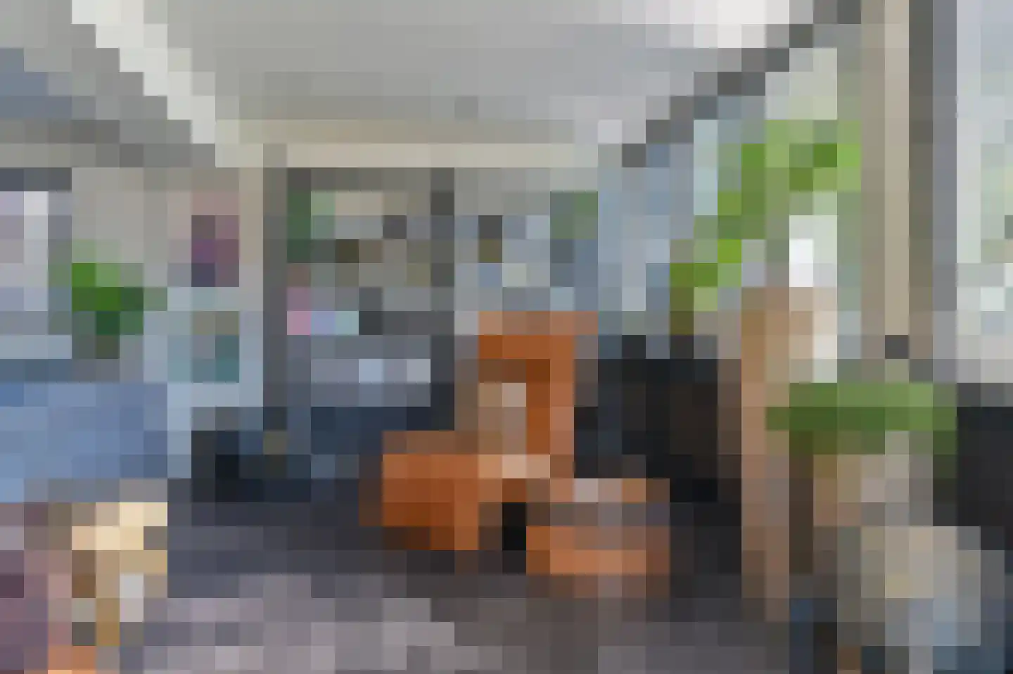 Zonneweg 9 Emmen thumbnail 16